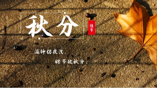 樓上樓門窗 | 白露秋分夜,一夜冷一夜，高端門窗安排上！